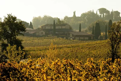 Thumbnail Klassische Weinprobe und Tour bei Poderi Boscarelli in Montepulciano