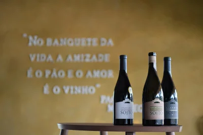 Thumbnail Visite et dégustation de vins de qualité supérieure chez Soito Wines à Dão