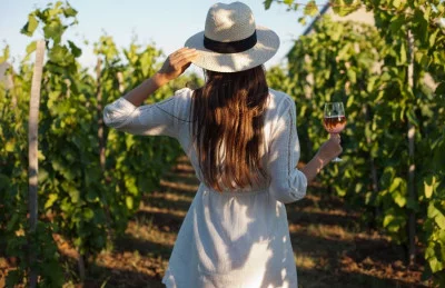 Thumbnail Dîner dans les vignobles du Chianti au départ de Sienne