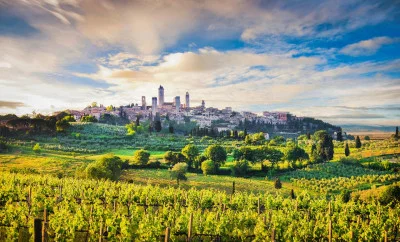 Thumbnail Winedering Private Gourmet-Weintour in der Toskana