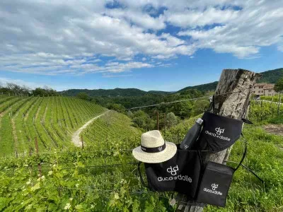 Thumbnail Randonnée viticole dans les collines du Prosecco chez Duca di Dolle