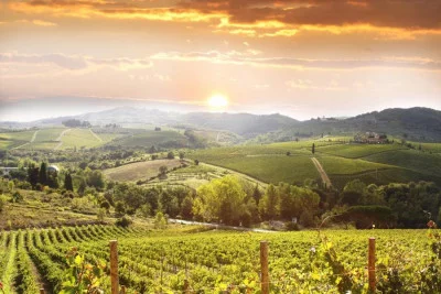 Thumbnail Afternoon in Siena & Chianti dinner: Half-day tour from Florence