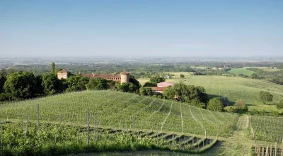 Thumbnail Cata de vinos y visita a la Bodega Luretta en las Colinas de Piacenza
