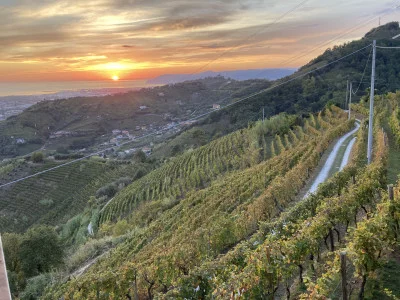 Thumbnail Weinprobe auf dem Gipfel von Candia im Podere Scurtarola