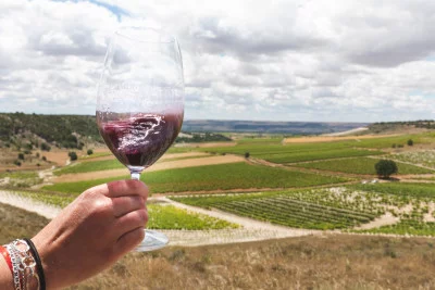 Thumbnail Wine experience: El vino te habla en Bodegas Emilio Moro