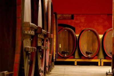 Thumbnail Degustazione di 3 vini presso la cantina Guasti Clemente nel cuore del Monferrato
