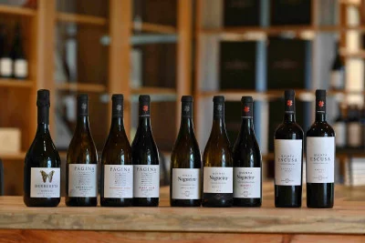 Thumbnail Visite et dégustation de 6 vins à la Quinta do Porto Nogueira