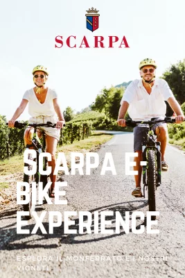 Thumbnail E-Bike Tour e degustazione di vini presso Scarpa Vini nelle colline del Monferrato