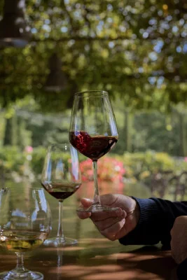Thumbnail Degustación de 3 vinos y 1 Vermut en Castello di Radda en Chianti Classico