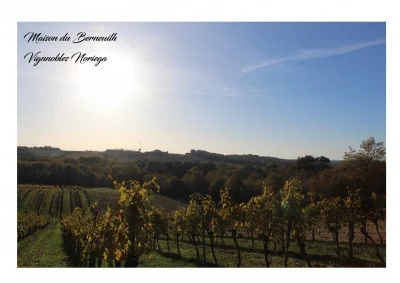 Thumbnail Entdeckungswanderung mit Weinprobe der Weine von Château de Berneuilh