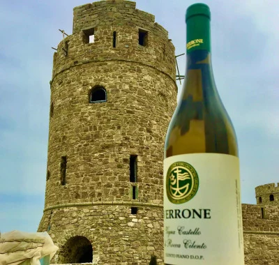 Thumbnail Degustazione di 5 vini del Cilento presso la Tenuta Girapoggio ad Agropoli e passeggiata nella vigna del Castello di Rocca Cilento
