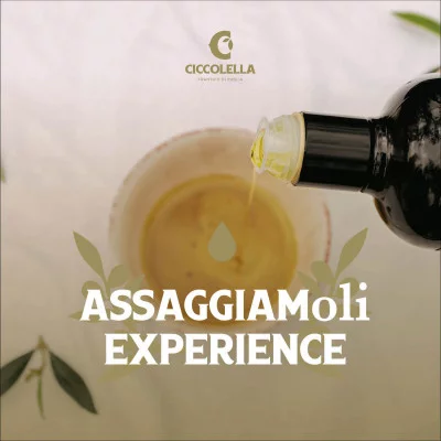 Thumbnail Degustazione professionale di olio d'oliva presso il Frantoio Ciccolella