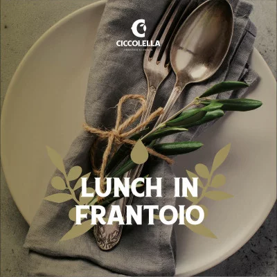 Thumbnail Tour, degustazione di olio d'oliva e pranzo presso il Frantoio Ciccolella