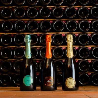 Thumbnail Festival de Franciacorta : dégustation de vins en attendant le week-end à la cave Il Dosso