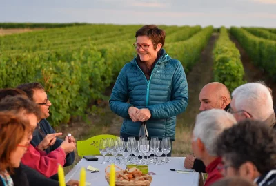 Thumbnail Visita a viñedos y bodegas y cata de vinos con delicias locales en Vignoble Alain Robert