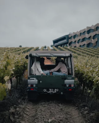 Thumbnail Weinberg-Jeep-Abenteuer &amp; Weinprobe auf der Quinta da Almiara