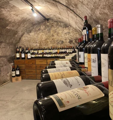 Thumbnail Visita del Museo del Vino e del Commercio di Bordeaux e Degustazione di vini di Bordeaux