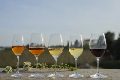 Thumbnail Besichtigung des Weinguts und Weinprobe im Mas Bertran Weingut