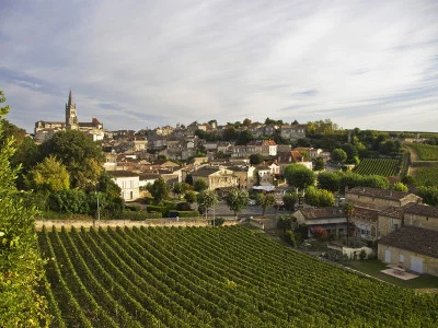 Thumbnail Bordeaux Tour privato di un giorno dedicato al vino
