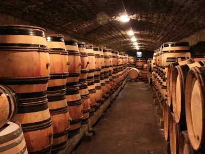 Thumbnail Burgund Ganztägige private Weintour ab Beaune oder Dijon: Grands Crus-Verkostung in 2 Weingütern und einem Caveau in der Côte de Beaune