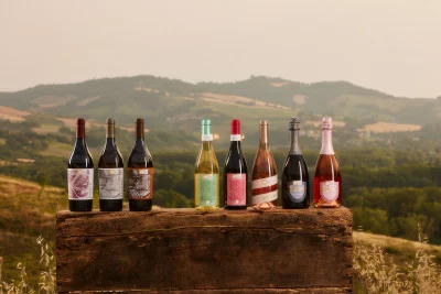 Thumbnail Besichtigung und Weinprobe auf der Tenuta Santi Giacomo e Filippo