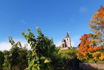 Thumbnail Tour di mezza giornata da Colmar: visita di 2 villaggi, visita di una cantina e degustazione di vini sulla Strada del Vino dell'Alsazia