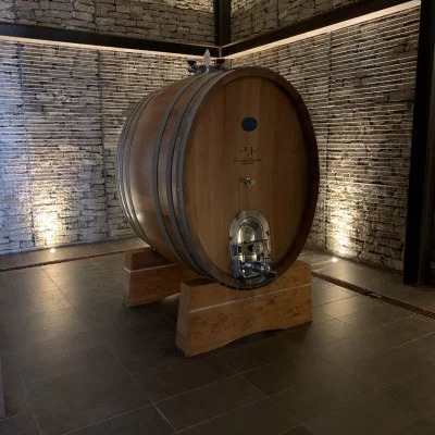 Thumbnail Explore les vins de l'Ombrie: Visite classique et dégustation de vin à la cave de Leonardo Bussoletti