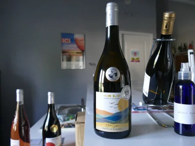Thumbnail Scoperta della Valle della Loira: Wine Tour e degustazione di vini presso il Domaine de la Gauterie