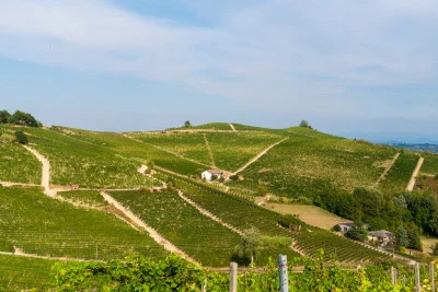 Thumbnail Gourmet-Weinprobe auf dem Weingut Marenco in Monferrato