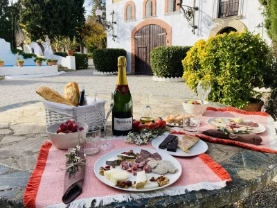 Thumbnail Petit déjeuner dans les jardins modernistes et visite des vignobles avec dégustation à la Finca Rovellats