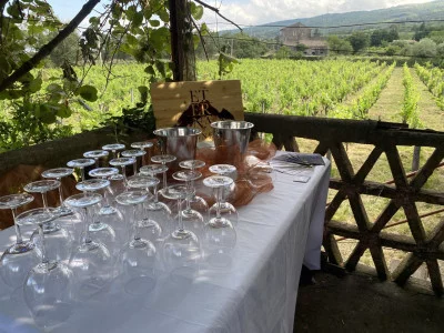 Thumbnail Wine Experience at Eterna Vigneti near Etna