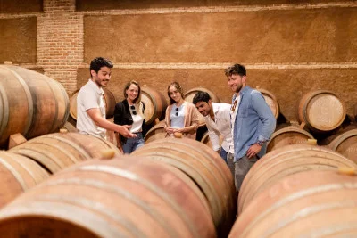 Thumbnail Visite de la ville de Tolède et d'une cave avec dégustation de vin au départ de Madrid