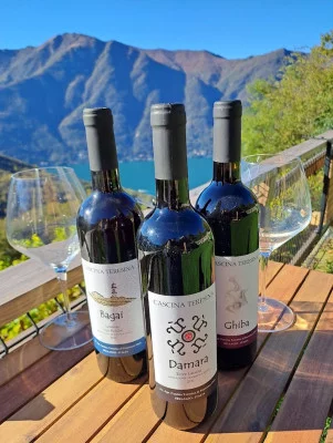 Thumbnail for Degustazione di vini con vista sul Lago di Como alla Cascina Teresina