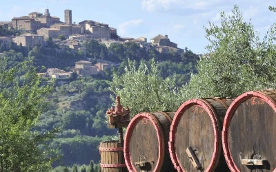 Thumbnail Excursión enológica en grupo reducido a San Gimignano, Chianti y Montalcino desde Siena