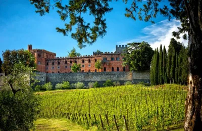 Thumbnail Chianti & Castles: Small-group afternoon wine tour from Siena
