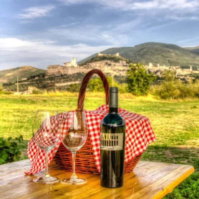 Thumbnail Pique-nique de luxe dans le vignoble avec dégustation guidée à Saio Assisi