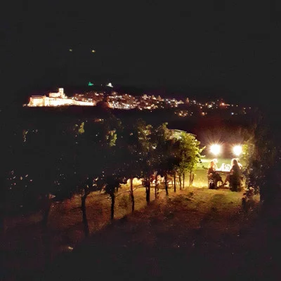 Thumbnail Pique-nique au coucher du soleil dans le vignoble de SAIO Assisi