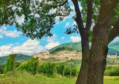 Thumbnail Apéritif avec dégustation guidée de 5 vins et promenade pittoresque dans le vignoble de SAIO Assisi