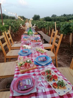Thumbnail Sunset gourmet picnic among Trulli and secular vineyards at Albea