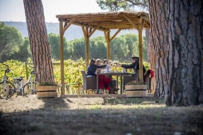 Thumbnail Degustazione di vino in e-bike e picnic alla Finca Villacreces