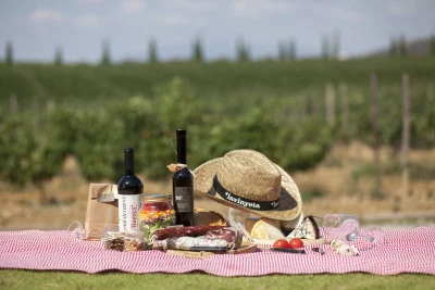 Thumbnail Degustazione esclusiva di vini e picnic presso il Celler La Vinyeta a Emporda