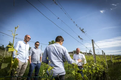 Thumbnail Dégustation de vin et visite parmi les tonneaux et les vignobles avec dégustation de 5 vins biologiques chez Massimo Rivetti dans les Langhe