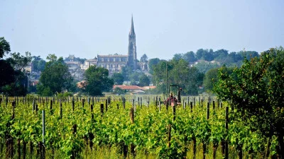 Thumbnail Bordeaux entkorkt: Natürliche Weinprobe im Château Shuette