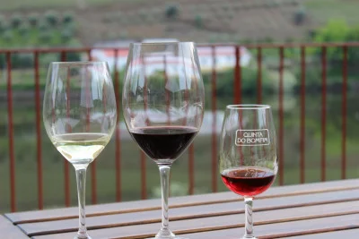 Thumbnail La cata de vinos especializada en Quinta do Bomfin, en el valle del Duero