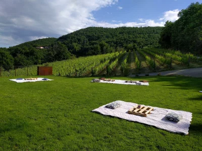 Thumbnail Wine picnic surrounded by vineyards at Podere della Bruciata in Montepulciano