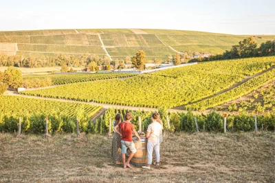 Thumbnail Full-Day Sancerre Small group Wine Tour from Paris with Lunch