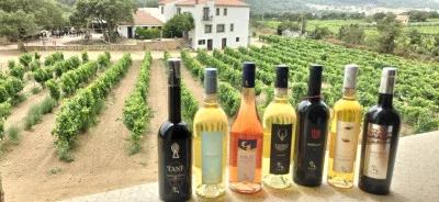Thumbnail Weinprobe und Führung in der Cantina Tani in Gallura