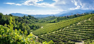 Thumbnail Valdobbiadene: Private half-day Prosecco wine tour with Sommelier