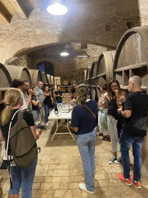 Thumbnail Tapas & Wine Tour in Barcelona with an experienced Sommelier