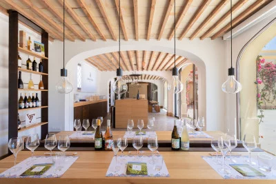 Thumbnail Sicily in a bottle: Wine Tasting & Territory Pairings at Gorghi Tondi